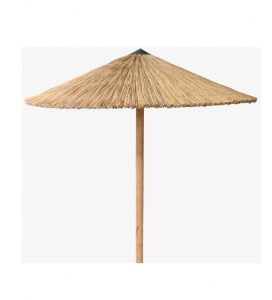 Umbrella Cane Φ215cm*
